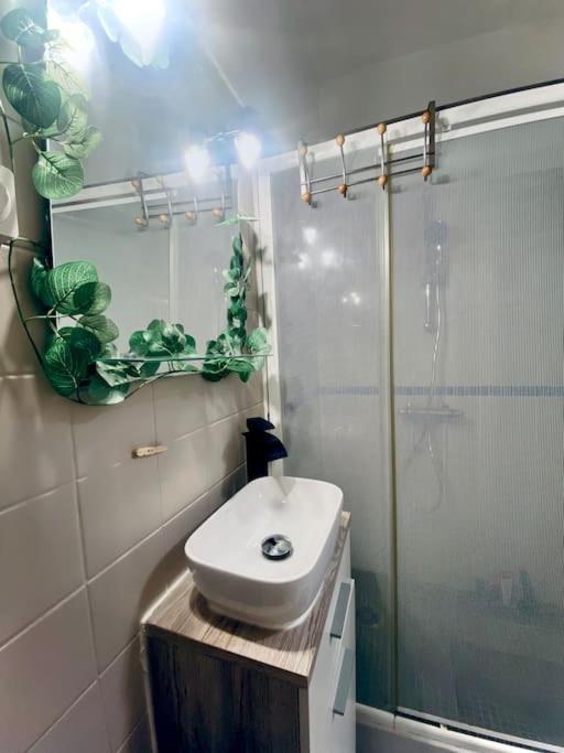 Le Repaire Des Heros 150m Parking Prive - Lesvoyagescolores Apartment Saint-Valery-en-Caux